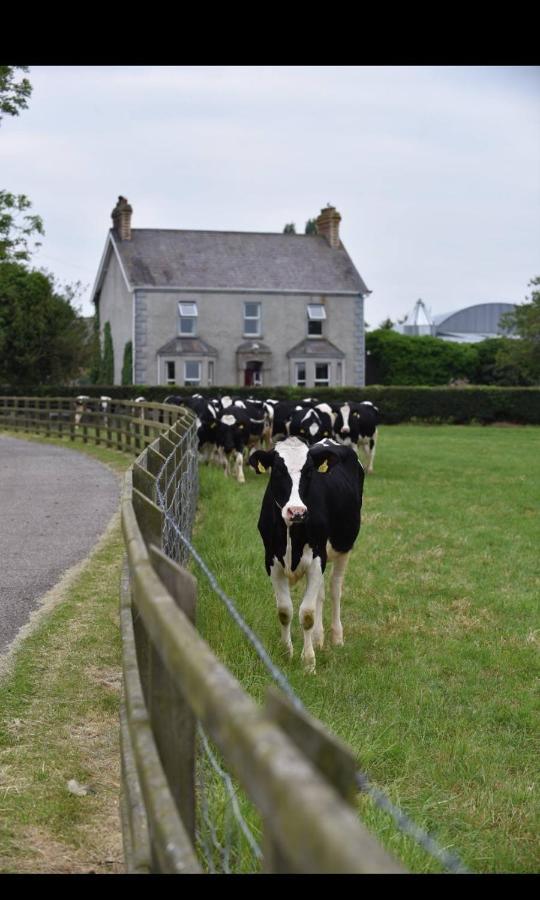 Ballyginniff Farm House Crumlin  Esterno foto